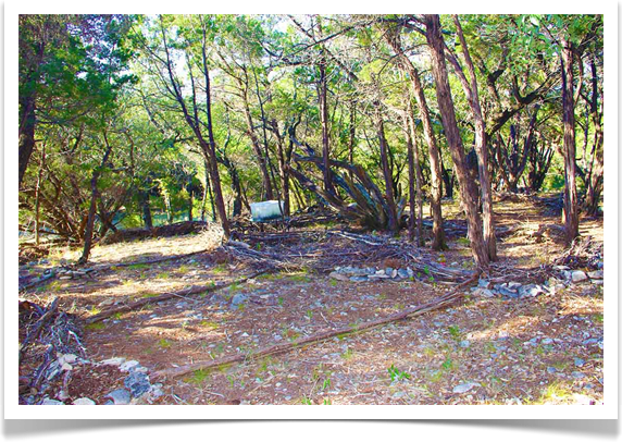 Austin Texas Landscaping